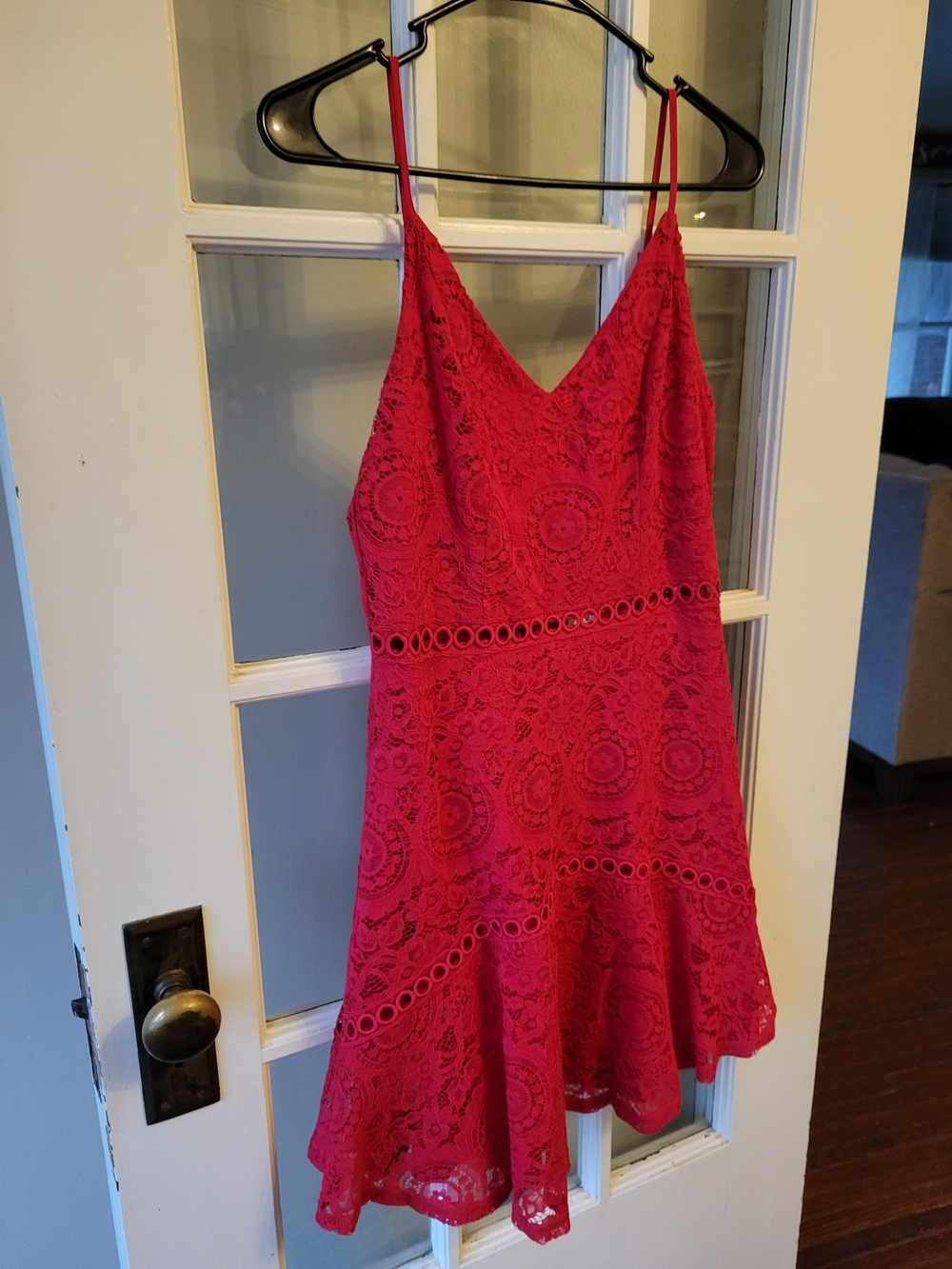 Francesca's Collections Red Lace Mini Dress with Spaghetti Straps Medium - Picture 5 of 15